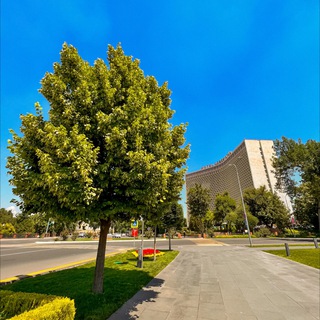 Tashkent in pictures and videos