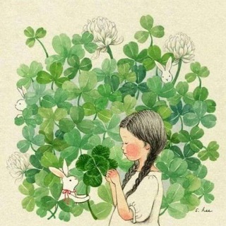 The bloom of clovers🍀