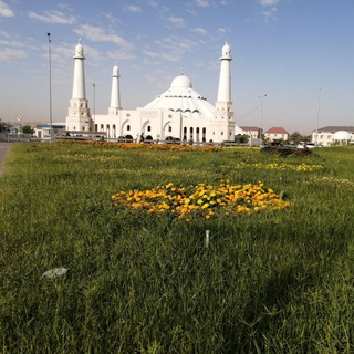 Shymkent_Tashkent