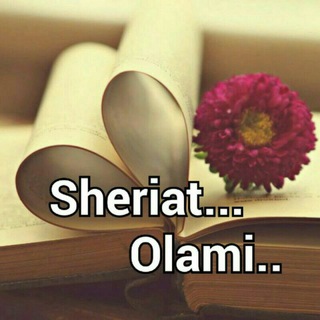 🍃Sheriat_Olami🍃