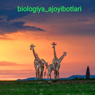 biologiya ajoyibotlari