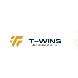 T-WINS textile