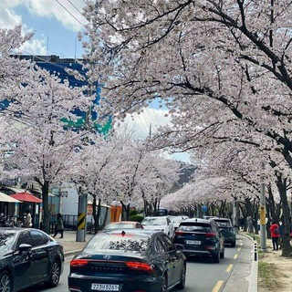 한국 관련 재미있는 비디오🤣🤣🤣🇰🇷🇰🇷