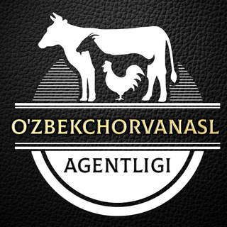 UZBEKCHORVANASL - NEWS