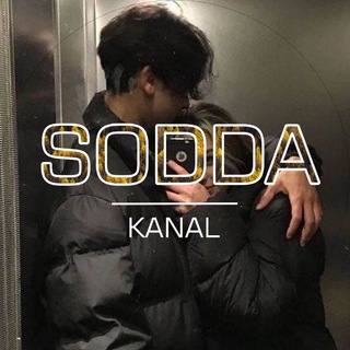 SODDA | Statuslar