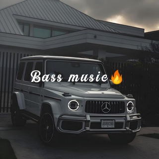 Bass Music🔥🐊