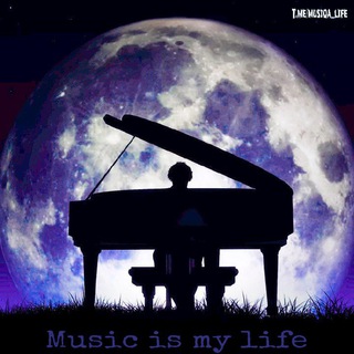 🎶Music is my life🎧