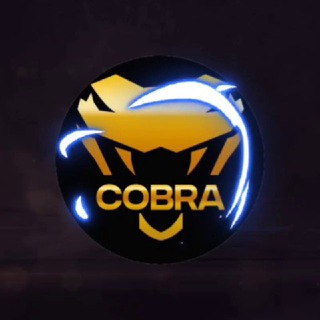 The COBRA KAI esports