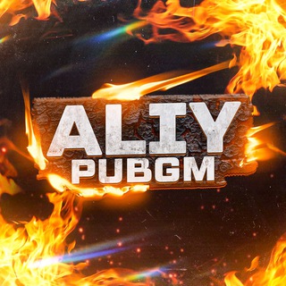 ALIY PUBGM