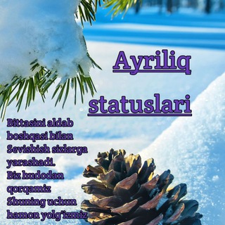 ❄️ AYRILIQ™STATUSLARI™☃