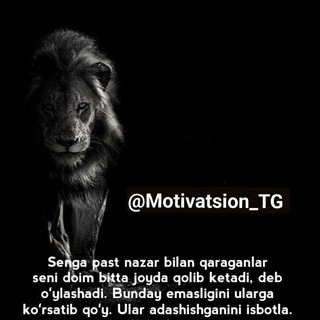 Motivatsion TG