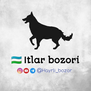 Itlar bozori