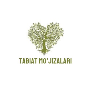 TABIAT MO'JIZALARI