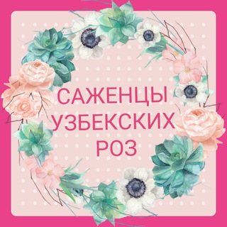 Саженцы Узбекских Роз🌹