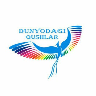 Dunyodagi Qushlar