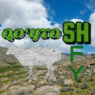 QO‘YTOSH SHFY