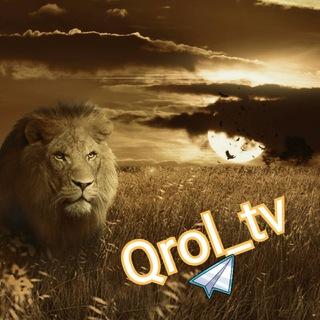 Qrol_tv 🌍