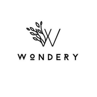 Wondery IT Blog