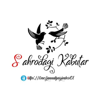 Sahrodagi__kabutar 🕊️⛓️ حمامة في الصحراء