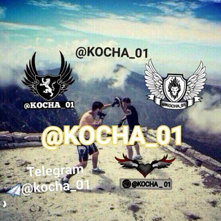 @KOCHA_01