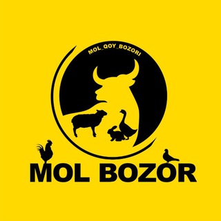 QOY BOZORI | MOL BOZORI