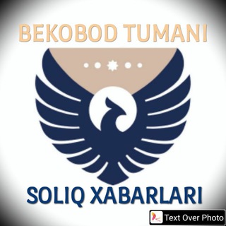 BEKOBOD TUMANI SOLIQ XABARLARI