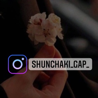 Shunchaki_gap_