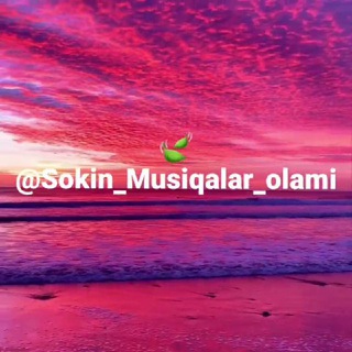 Sokin Musiqalar 🍃