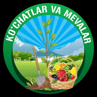 KOCHATLAR OLAMI ( КУЧАТЛАР )