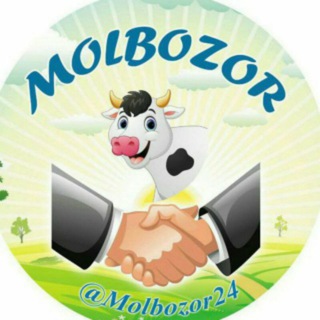 🐮Molbozor24 (Rasmiy kanal)