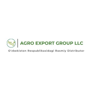 AGRO EXPORT GROUP LLC