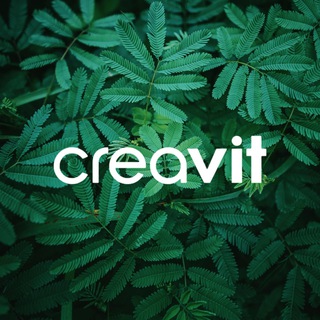 Creavit Uzbekistan