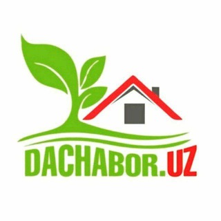 Dachabor.uz