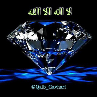 💎 QALB GAVHARI💎