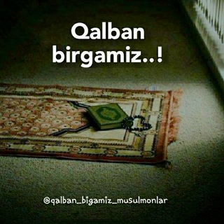 QALBAN BIRGAMIZ