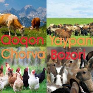 QOʻQON YAYPAN CHORVA BOZORI