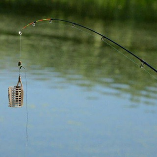 Feeder Fishing Bukhara