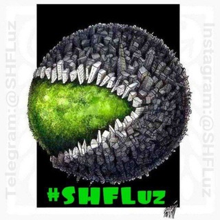 #SHFLuzㅤ✔️