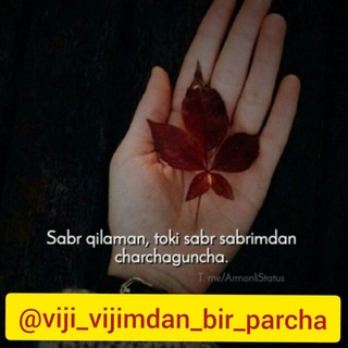 @VIJI_VIJIMDAN_BIR_PARCHA