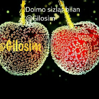 GILOSIM🍒🍒