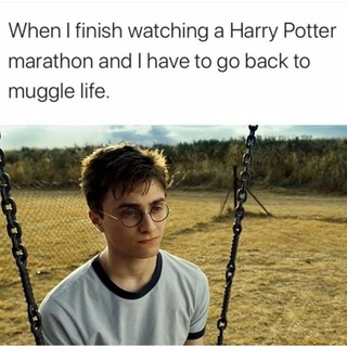 Harry Potter memes