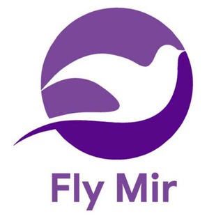 Fly Mir Group