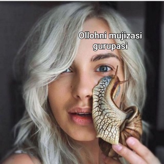 OLLOHNI MUJIZASI ULITKA gurupasi