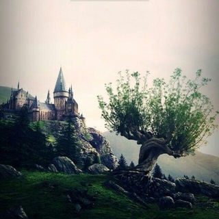 🏰Qadrdon Hogwarts🏰