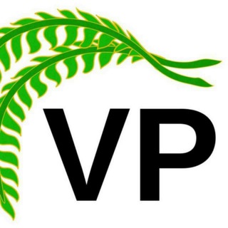 VP GROUP