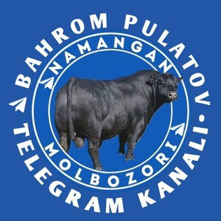 NAMANGAN MOL BOZORI N1