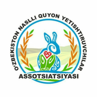 NASLDOR QUYON, НАСЛДОР КУЕН🐇