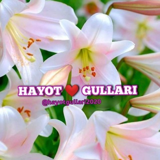 🌷🌴HAYOT GULLARI PARVARISHI🌼🌴