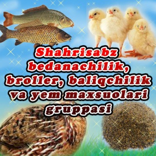 Shahrisabz 🐥BEDANACHILIK 🐔BROYLER🐟BALIQCHILIK yem SHAhRISABZ ШАХРИСАБЗ