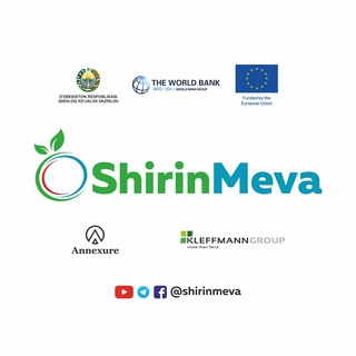 ShirinMeva group